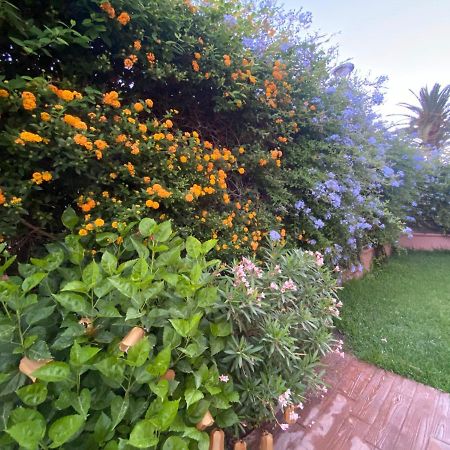 Apartamento Jardin Sanlucar Sanlúcar de Barrameda Εξωτερικό φωτογραφία