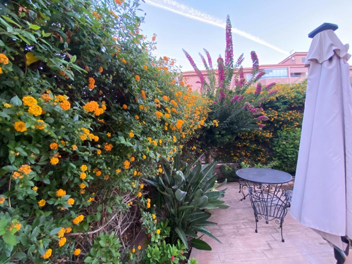 Apartamento Jardin Sanlucar Sanlúcar de Barrameda Εξωτερικό φωτογραφία
