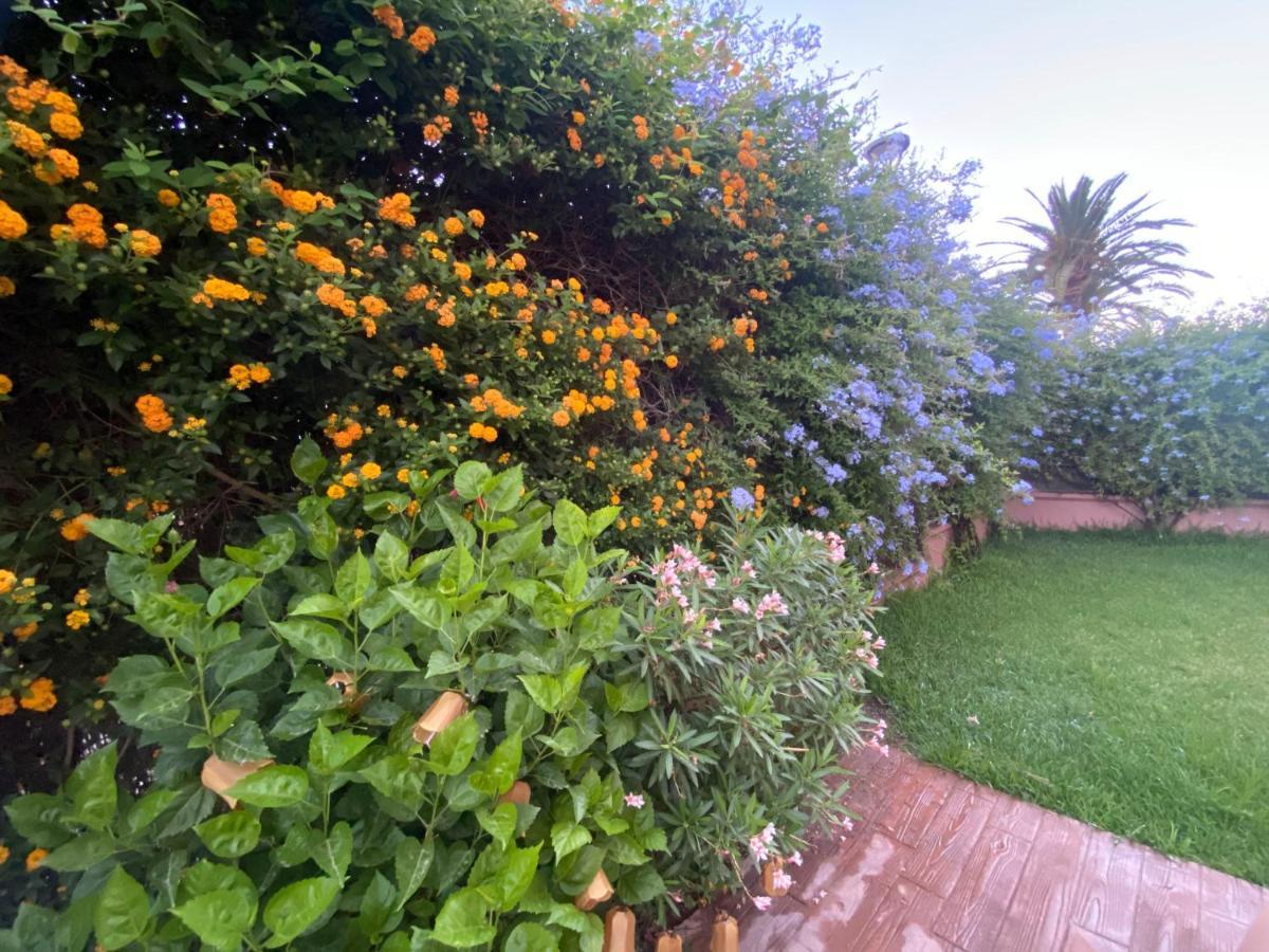 Apartamento Jardin Sanlucar Sanlúcar de Barrameda Εξωτερικό φωτογραφία